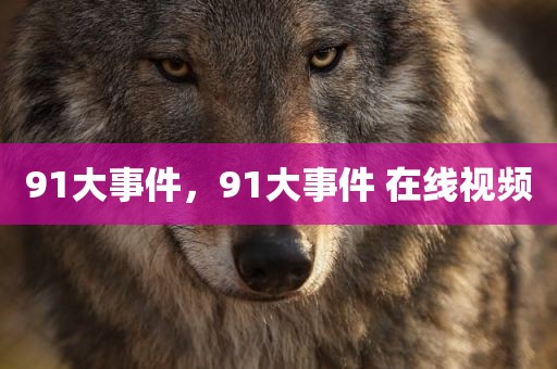 91大事件，91大事件 在线视频