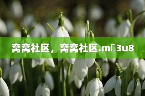 窝窝社区，窝窝社区.m 3u8