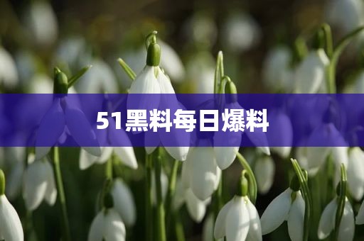 51黑料每日爆料