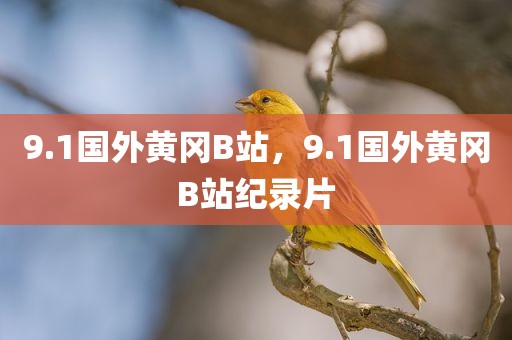 9.1国外黄冈B站，9.1国外黄冈B站纪录片