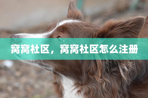 窝窝社区，窝窝社区怎么注册