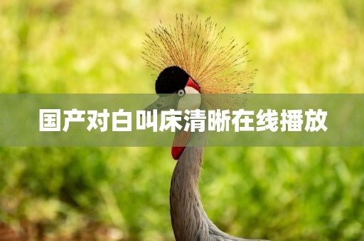 国产对白叫床清晰在线播放