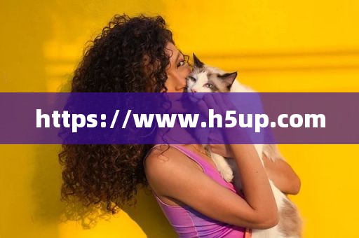 https://www.h5up.com