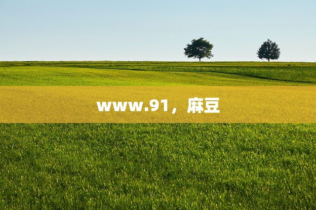 www.91，麻豆