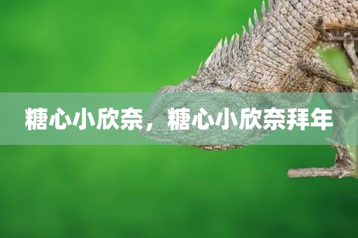 糖心小欣奈，糖心小欣奈拜年