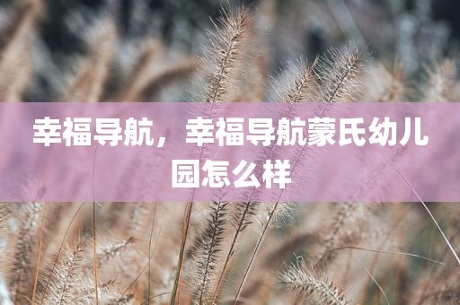 幸福导航，幸福导航蒙氏幼儿园怎么样