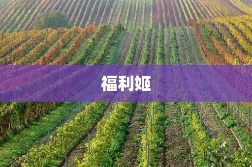 福利姬