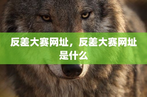 反差大赛网址，反差大赛网址是什么