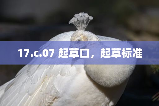 17.c.07 起草口，起草标准