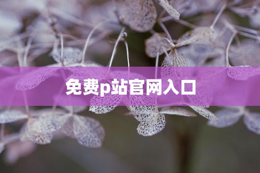 免费p站官网入口