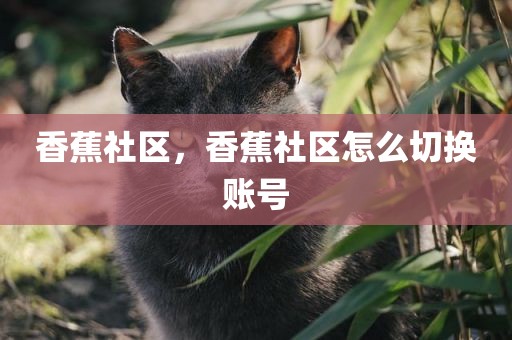 香蕉社区，香蕉社区怎么切换账号