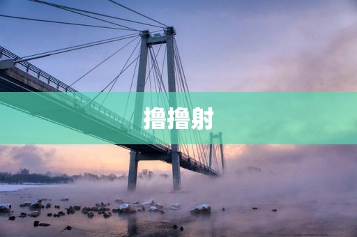 撸撸射