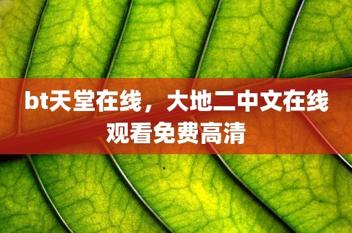 bt天堂在线，大地二中文在线观看免费高清