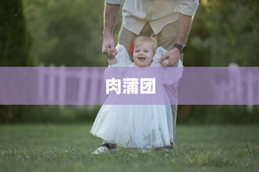 肉蒲团