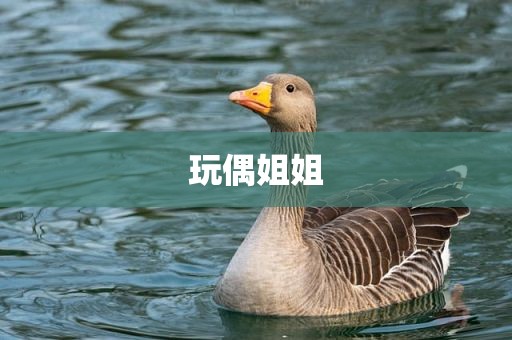 玩偶姐姐
