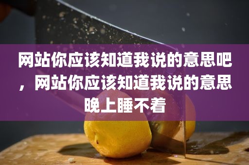 网站你应该知道我说的意思吧，网站你应该知道我说的意思晚上睡不着