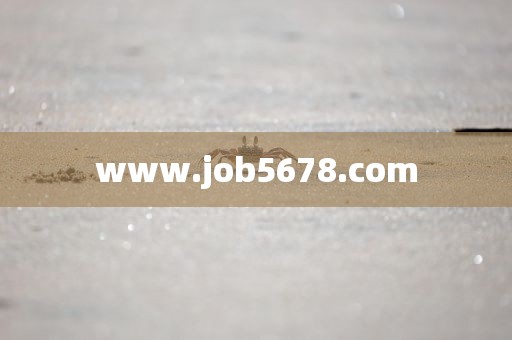 www.job5678.com