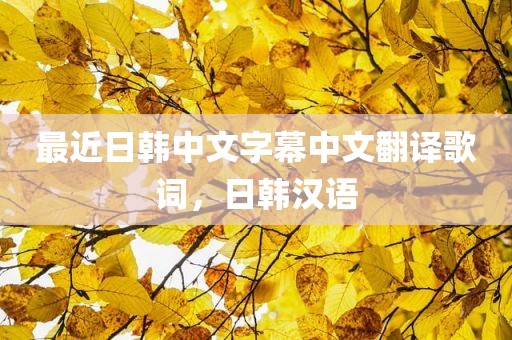 最近日韩中文字幕中文翻译歌词，日韩汉语