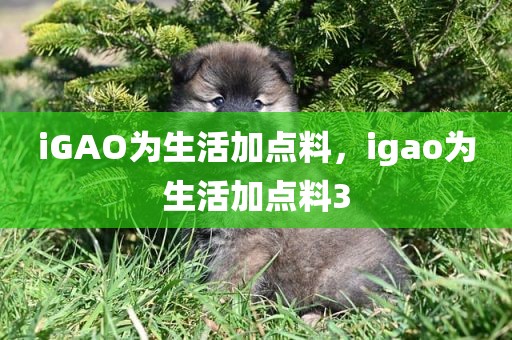iGAO为生活加点料，igao为生活加点料3
