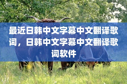 最近日韩中文字幕中文翻译歌词，日韩中文字幕中文翻译歌词软件
