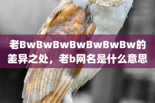 老BwBwBwBwBwBwBw的差异之处，老b网名是什么意思