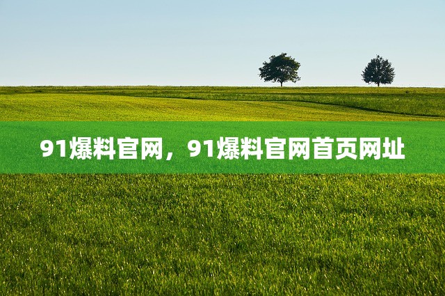 91爆料官网，91爆料官网首页网址