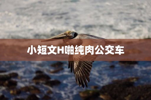 小短文H啪纯肉公交车