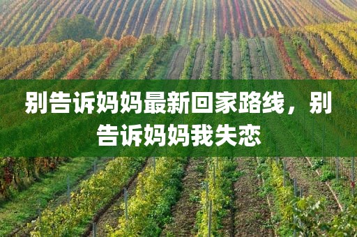 别告诉妈妈最新回家路线，别告诉妈妈我失恋