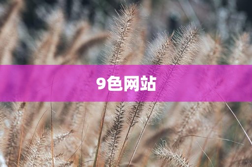 9色网站