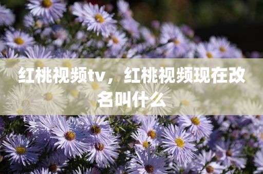 红桃视频tv，红桃视频现在改名叫什么