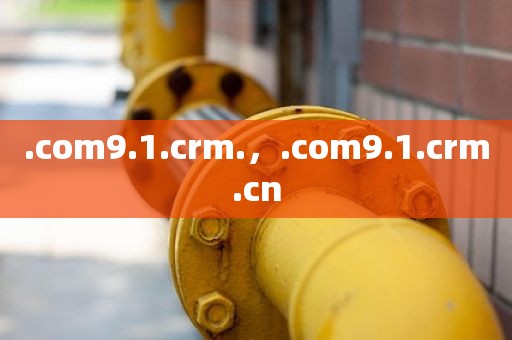 .com9.1.crm.，.com9.1.crm.cn