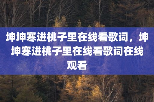 坤坤寒进桃子里在线看歌词，坤坤寒进桃子里在线看歌词在线观看