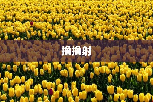 撸撸射