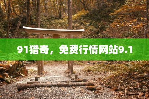 91猎奇，免费行情网站9.1