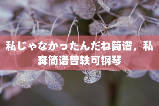 私じゃなかったんだね简谱，私奔简谱曾轶可钢琴