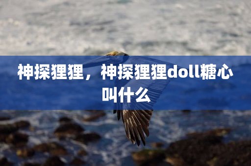 神探狸狸，神探狸狸doll糖心叫什么