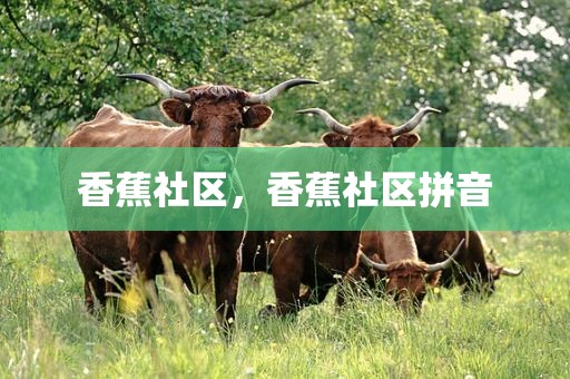 香蕉社区，香蕉社区拼音