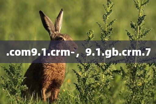 .com9.1.crm-，9.1.gb.crm.7