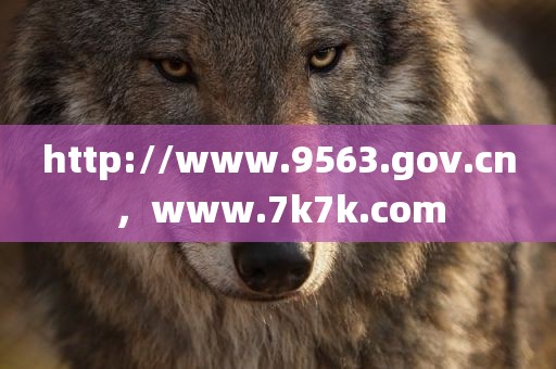 http://www.9563.gov.cn，www.7k7k.com