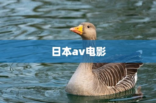 日本av电影