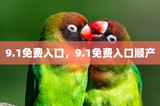 9.1免费入口，9.1免费入口顺产