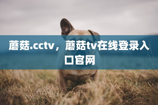 蘑菇.cctv，蘑菇tv在线登录入口官网