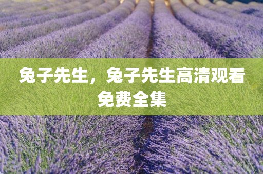 兔子先生，兔子先生高清观看免费全集