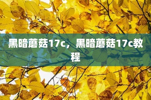 黑暗蘑菇17c，黑暗蘑菇17c教程