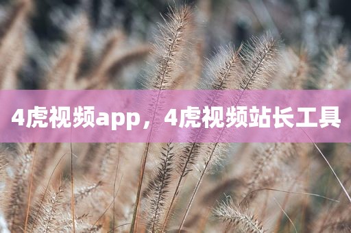 4虎视频app，4虎视频站长工具