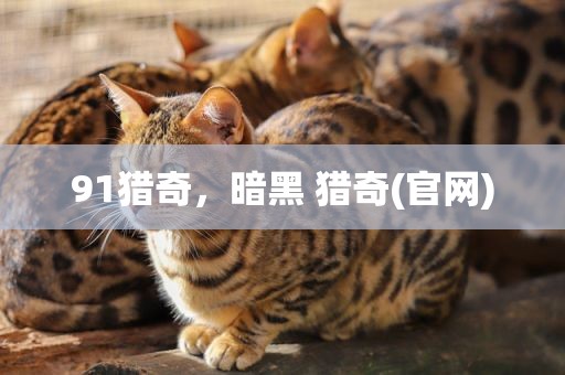 91猎奇，暗黑 猎奇(官网)