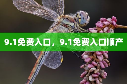 9.1免费入口，9.1免费入口顺产