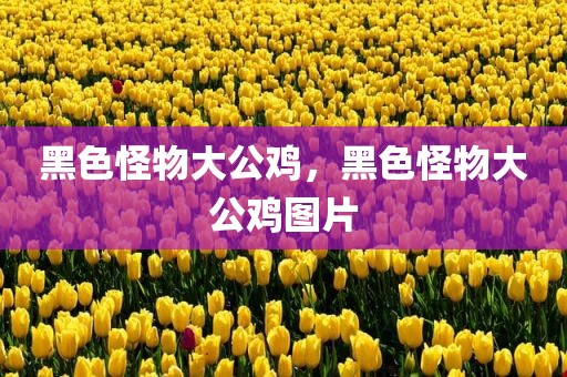 黑色怪物大公鸡，黑色怪物大公鸡图片