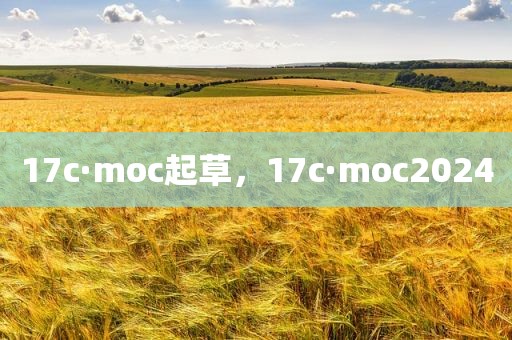 17c·moc起草，17c·moc2024