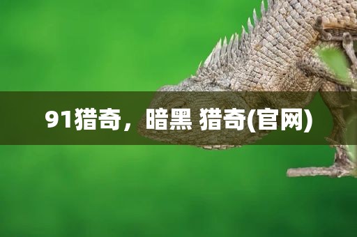 91猎奇，暗黑 猎奇(官网)